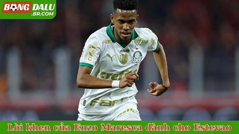 Lời khen của Enzo Maresca dành cho Estevao