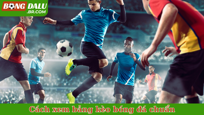 Cách xem bảng kèo bóng đá chuẩn