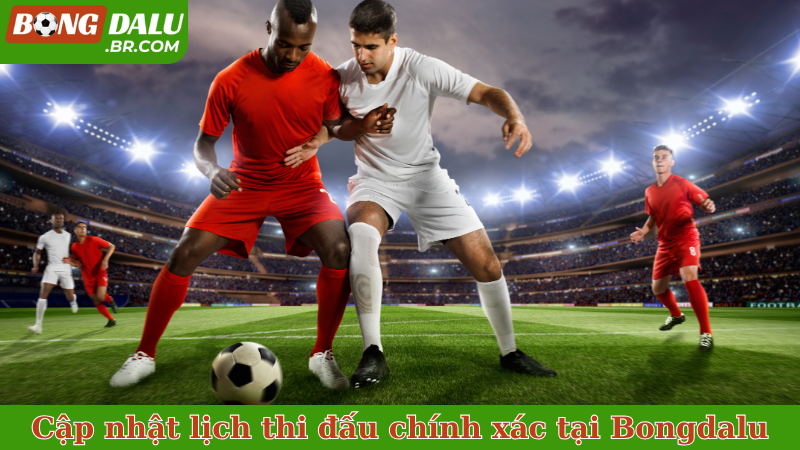Cập nhật lịch thi đấu chính xác tại Bongdalu