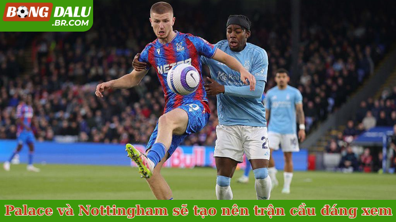 Palace và Nottingham sẽ tạo nên trận cầu đáng xem