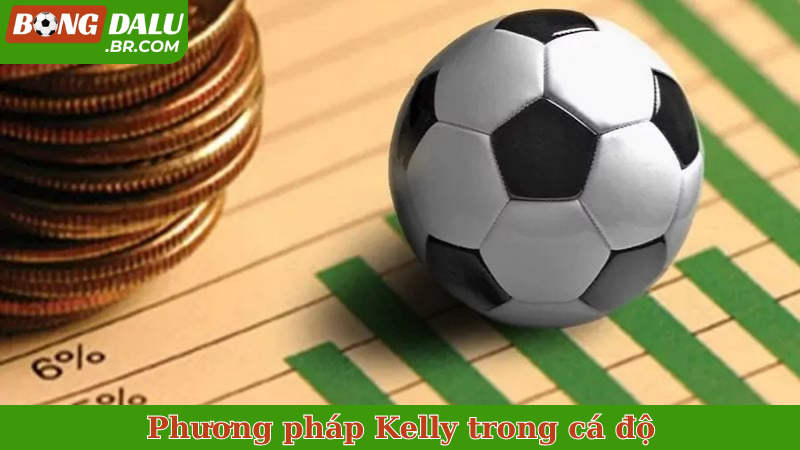 Phương pháp Kelly trong cá độ