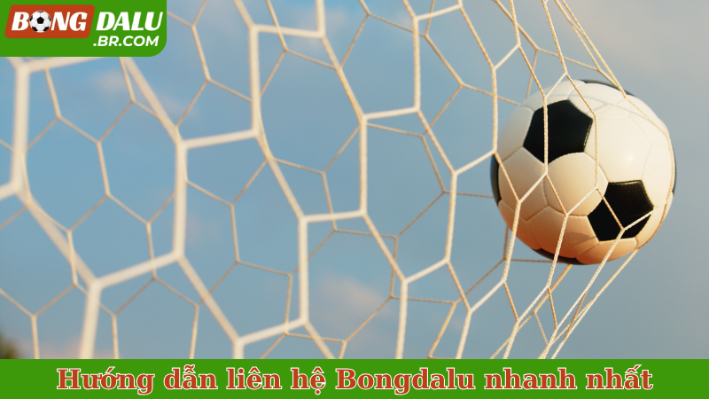 Xem kèo nhà cái nhanh nhất tại Bongdalu